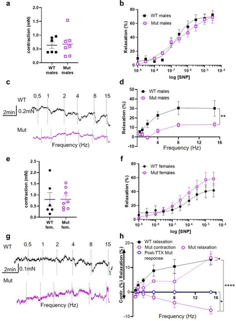 Neurogenic Defects Occur in LRIG2